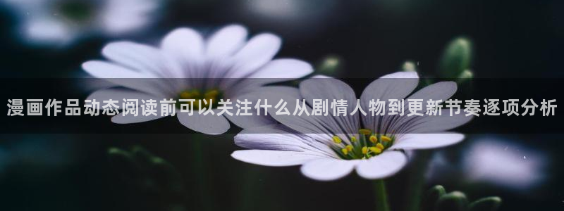 羞羞漫画在线免费漫画：漫画作品动态阅读前可以关注什么从剧情人物到更新节奏逐项分析